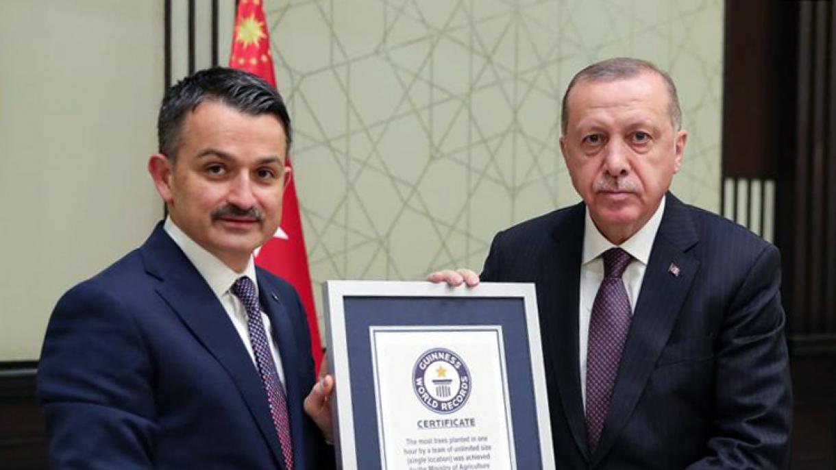Παγκόσμιο ρεκόρ«φύτευσης περισσότερων δενδρυλλίων μέσα σε 1 ώρα» κατέγραψε η Τουρκία