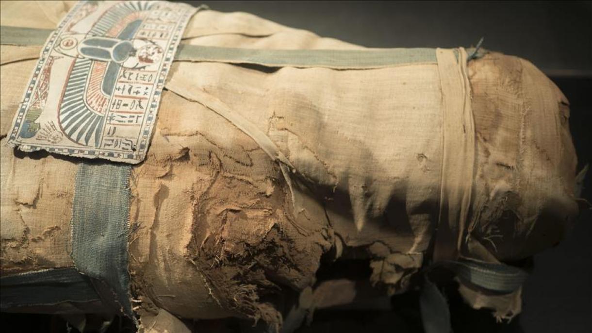 کشف هشت مومیایی سه هزار ساله در مصر