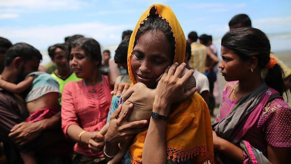 شمار آوارگان آراکانی در بنگلادش به بیش از 500 هزار نفر رسید