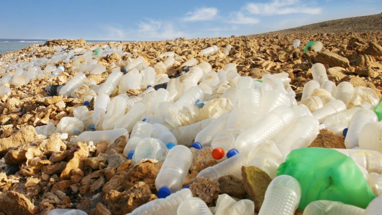La UE prohíbe a partir de 2021 los artículos de plástico de un solo uso