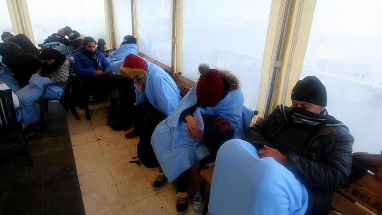 土耳其抓获试图偷渡至希腊的145名非法移民