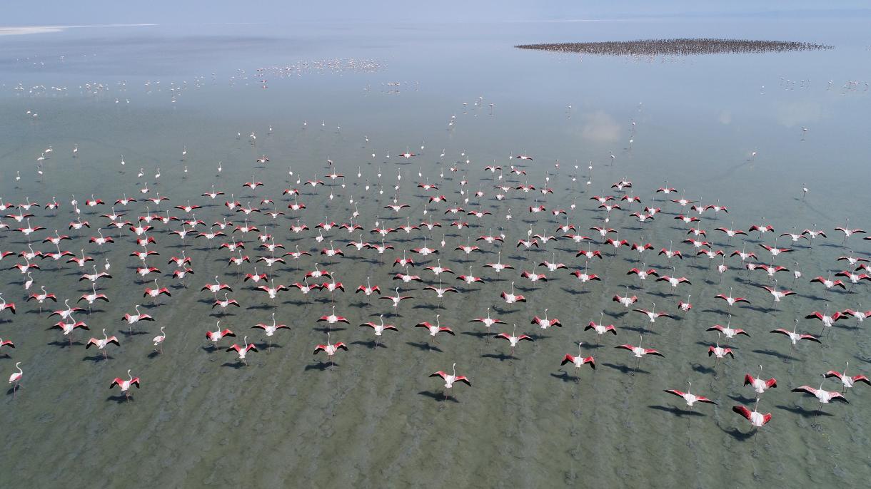 Minden évben számos helyi és külföldi látogatót vonz a Tuz Gölü (Sós-tó)