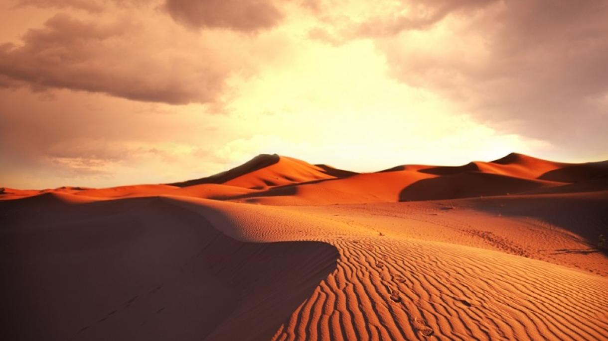 یافتن جسد 17 سرنشین یک مینی بوس گم شده در صحرا