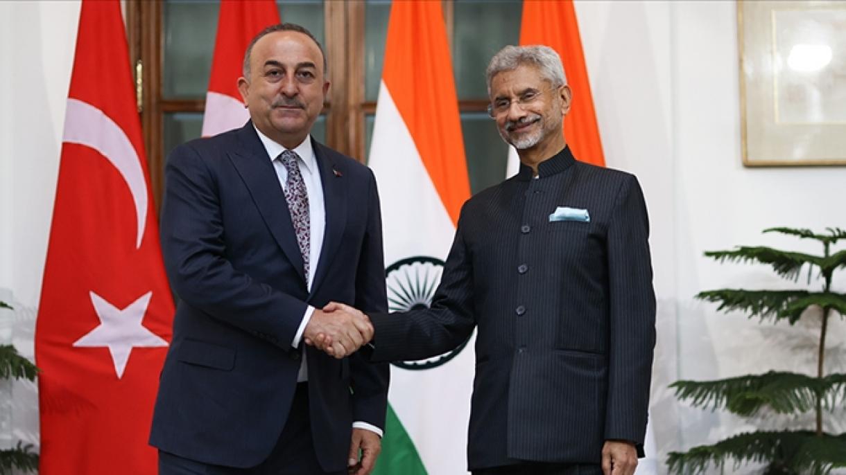 土耳其外长会晤印度外长