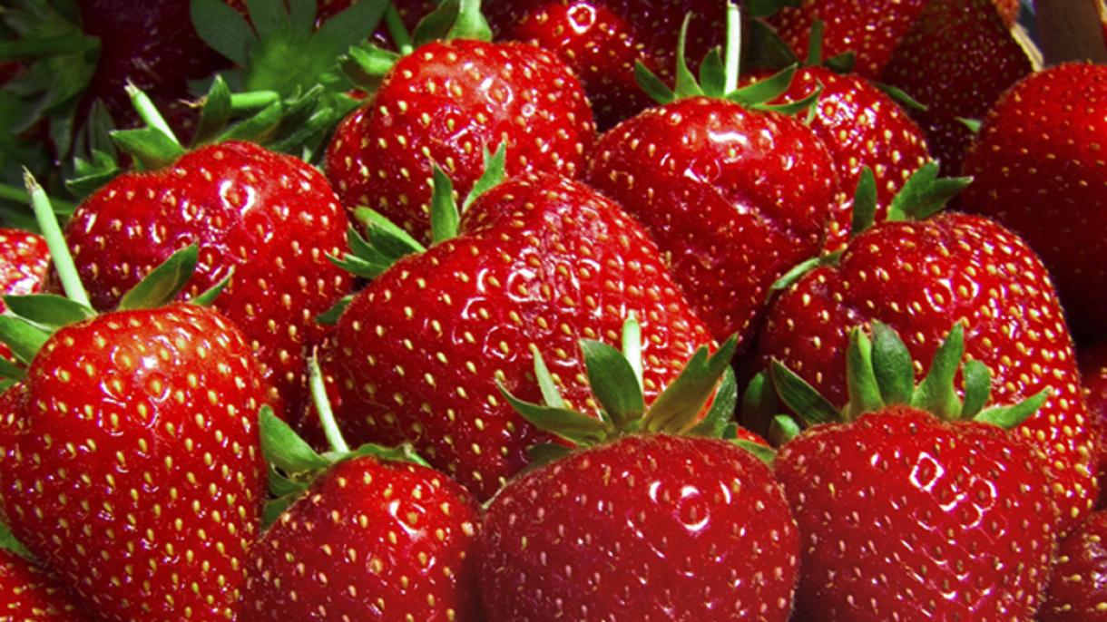 土耳其头5个月草莓出口创收4164.2万美元