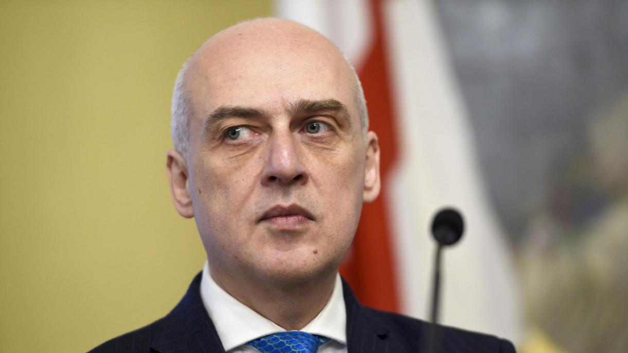 ザルカリアニ ジョージア外相 トルコ関係に言及 ザルカリアニ ジョージア外相 トルコ関係に言及