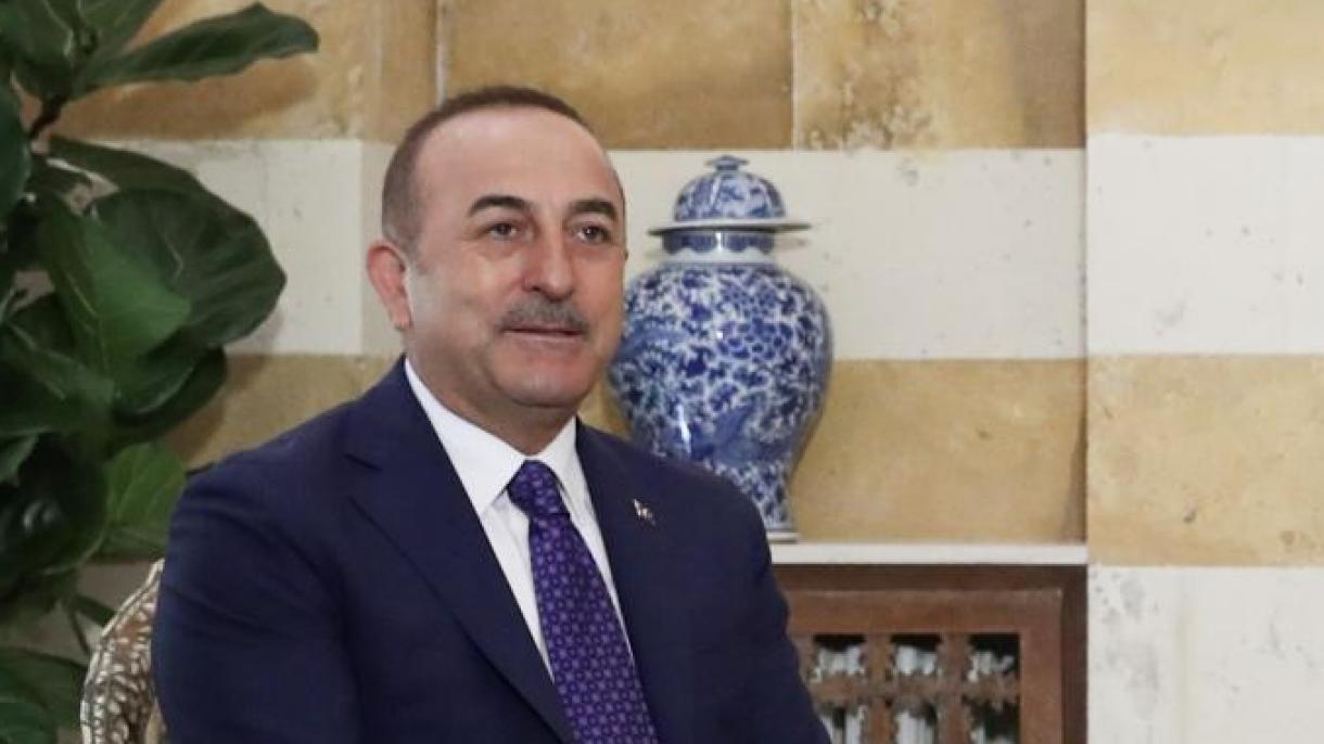 Mevlut Cavusoglu a susținut o conferință de presă în Liban