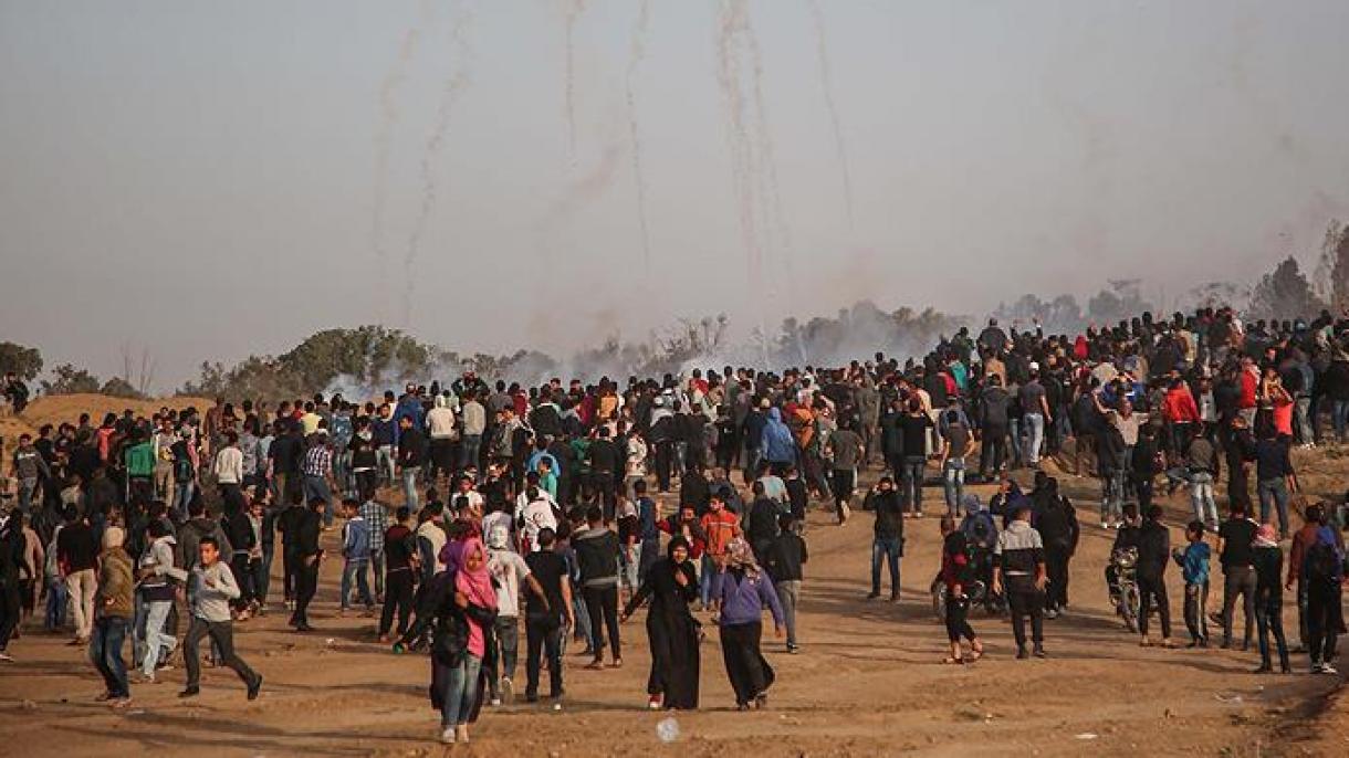 تعداد شهدای غزه به 31 نفر رسید