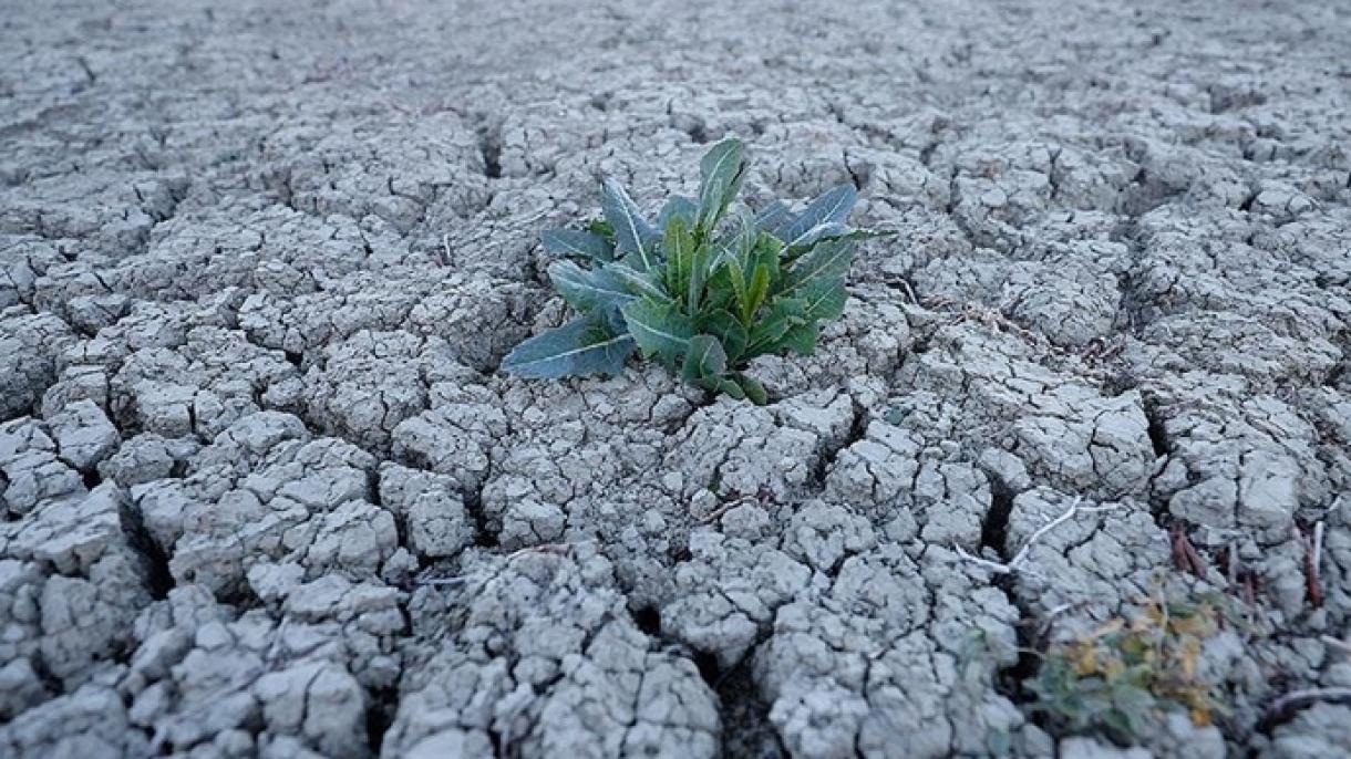 2045-ig 135 millió ember kényszerülhet elhagyni az otthonát a szárazság miatt
