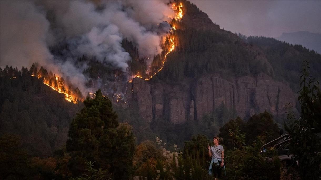 西班牙发生森林大火    2.6万人被疏散