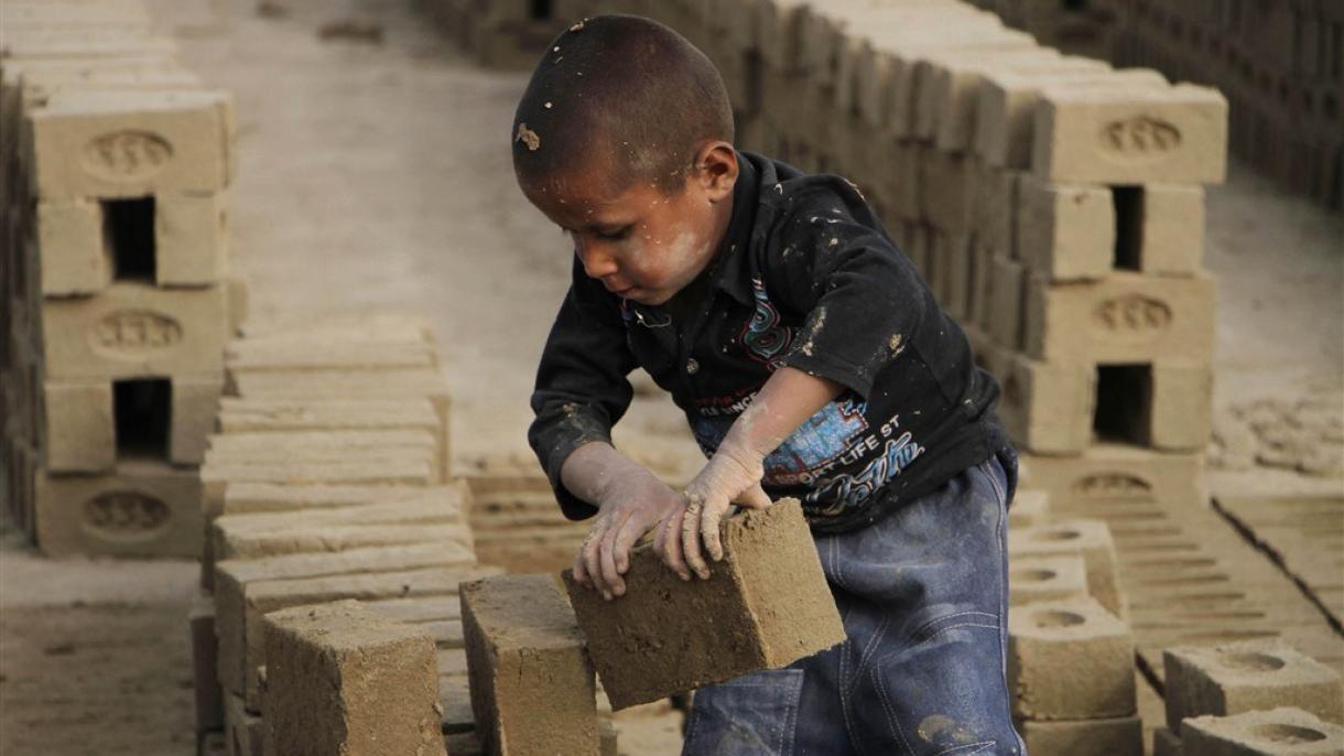 حدود 22 درصد از کودکان در افغانستان مشغول انجام کارهای خطرناک هستند