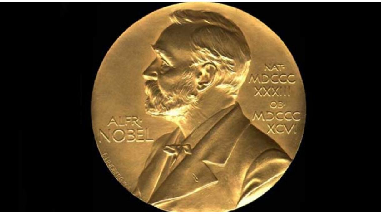 Louise Gluck es galardonada con el premio Nobel de Literatura