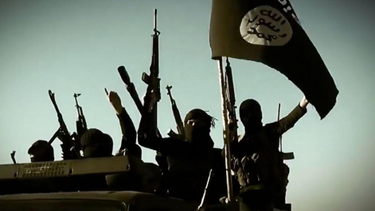 عراق:داعش کے خلاف آپریشن،11 دہشتگرد ہلاک