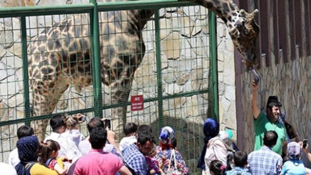 El jardín zoológico se visitó por 56.500 personas en un día