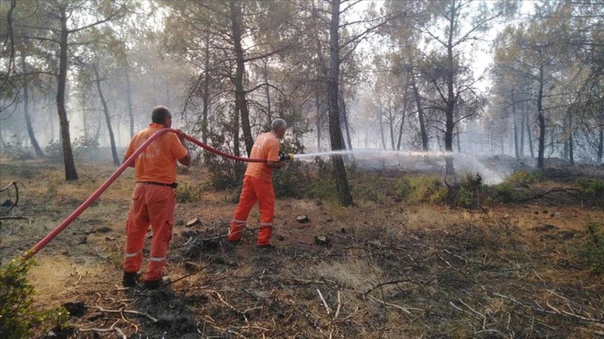 20 نقطه از 7 استان ترکیه در آتش می سوزد