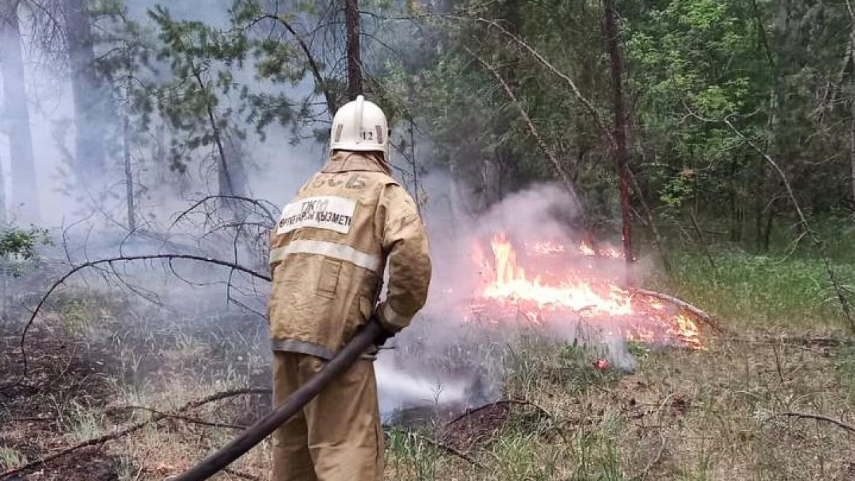 آتش‌سوزی گسترده در جنگل‌های سمی قزاقستان