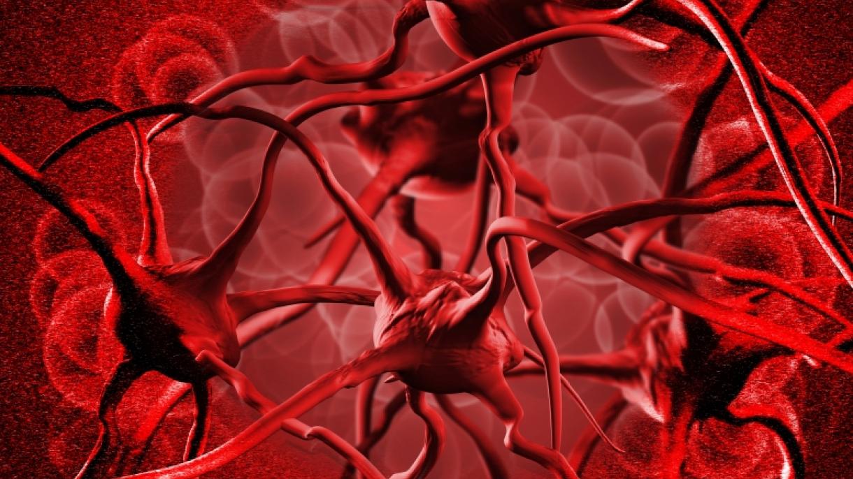 La anemia originada por la deficiencia de hierro