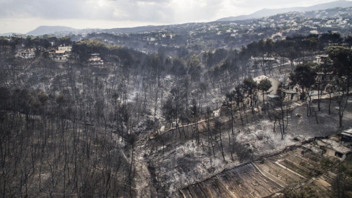Perelnek a görög erdőtűz áldozatainak hozzátartozói