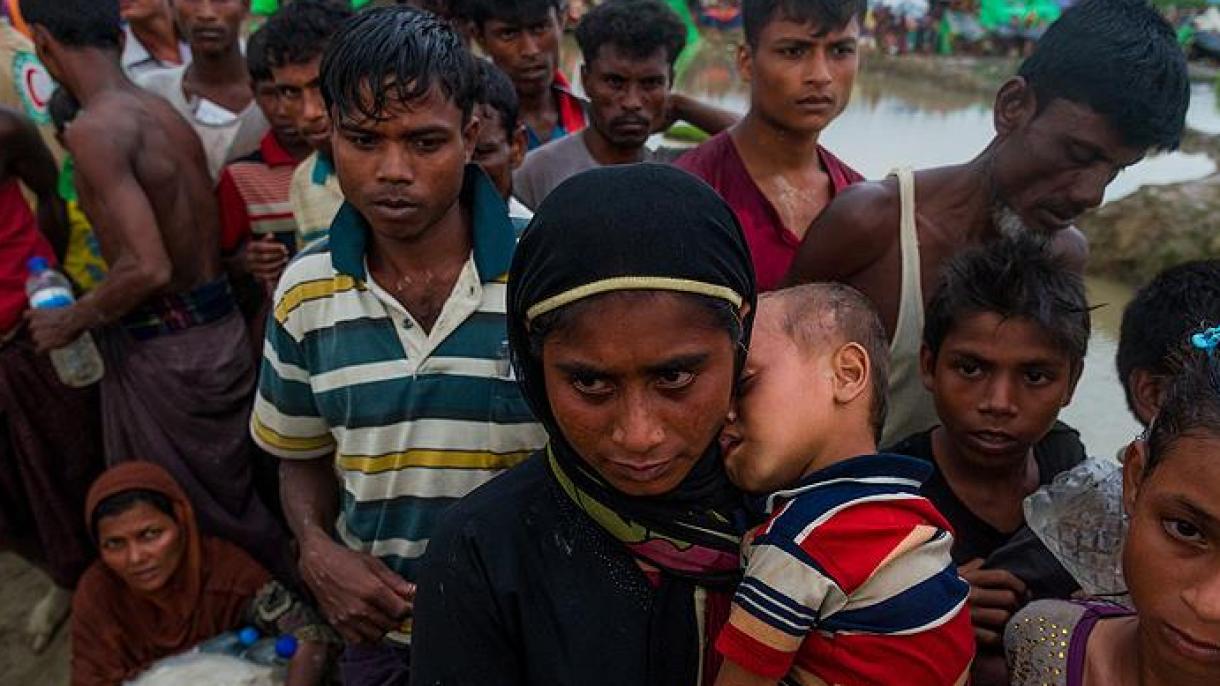 امریکا خواستار توقف حملات میانمار در آراکان گردید