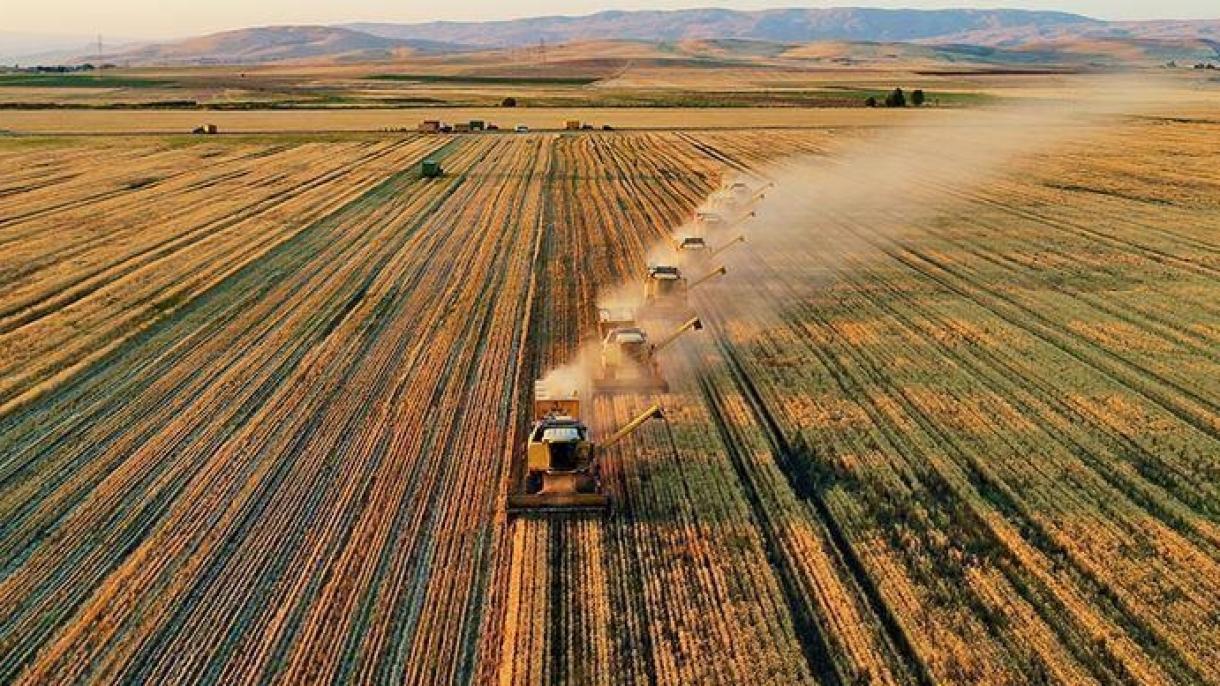 افزایش صادرات بخش کشاورزی در 4 ماهه اول سال 2023