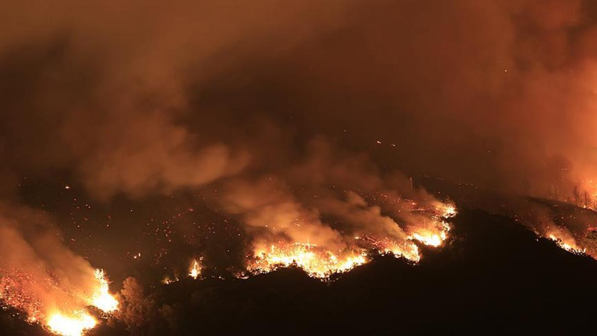 Incêndio destrói mais de 200 hectares de floresta no Quênia