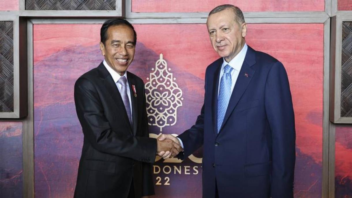 Prezident Erdogan Indoneziýaly Kärdeşi Bilen Duşuşdy