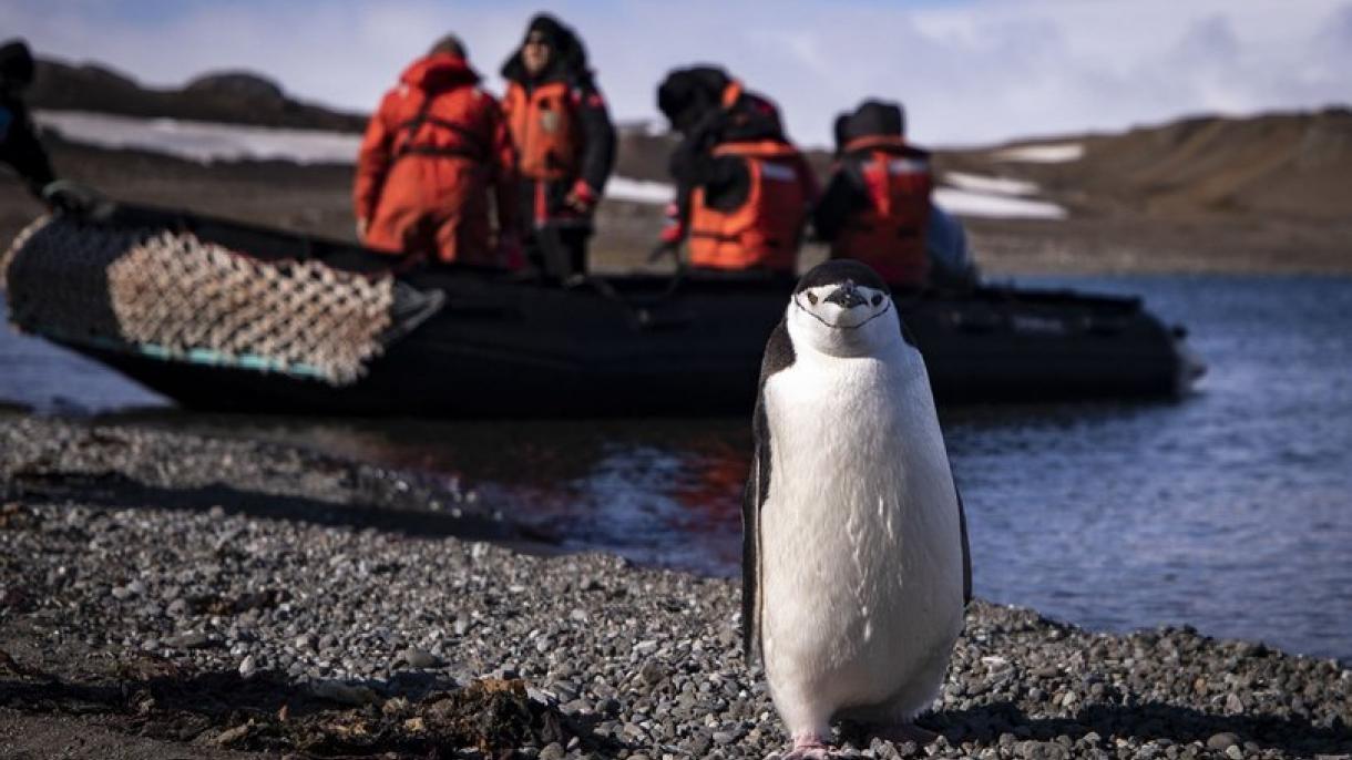 Türkiyәli alimlәr fevralın 9-da Antarktidaya sәfәr edәcәk