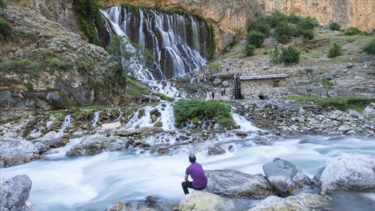 Estas son las recomendaciones del Fondo Mundial para la Naturaleza contra futuras pandemias