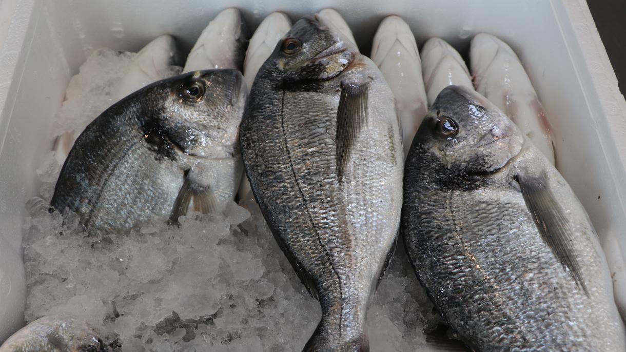 Törökországból érkezik az Európában elfogyasztott halak egyharmada