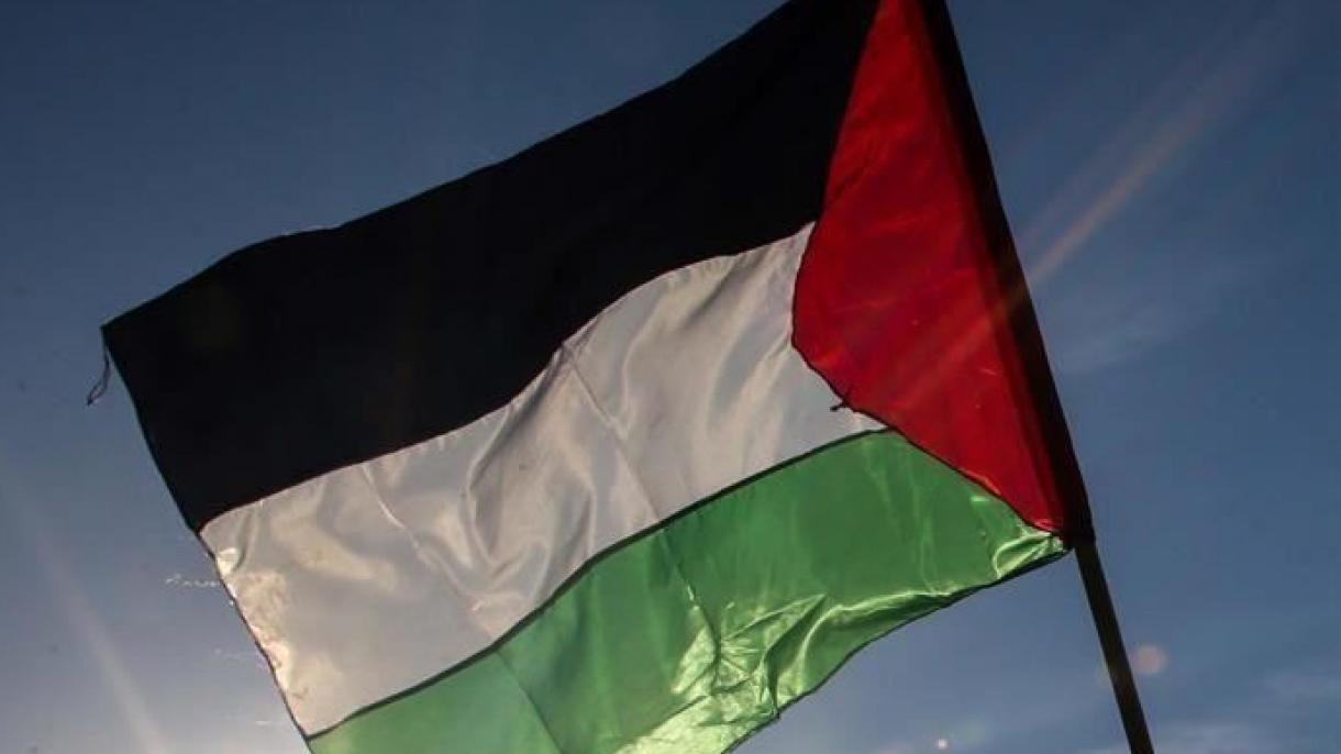 巴勒斯坦和哈马斯对巴西予以严厉谴责