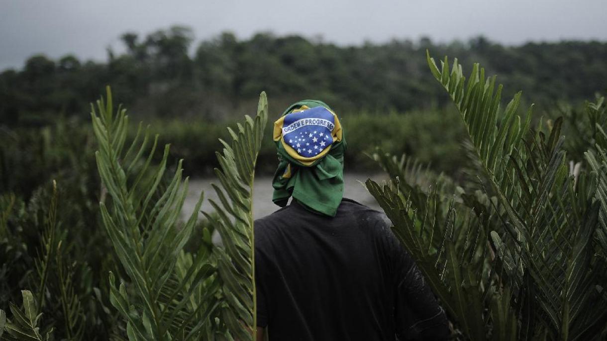 استخراج معادن در 6 زیستگاه بومی برزیل ممنوع شد