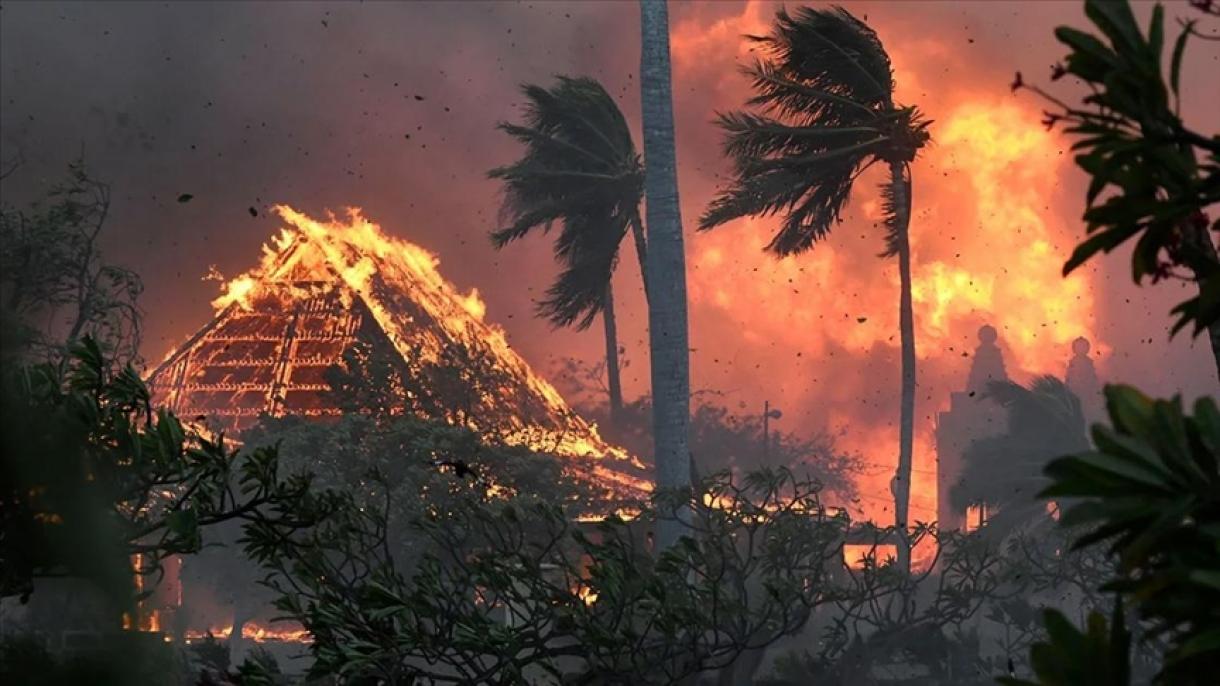 美国夏威夷森林火灾造成114人丧生