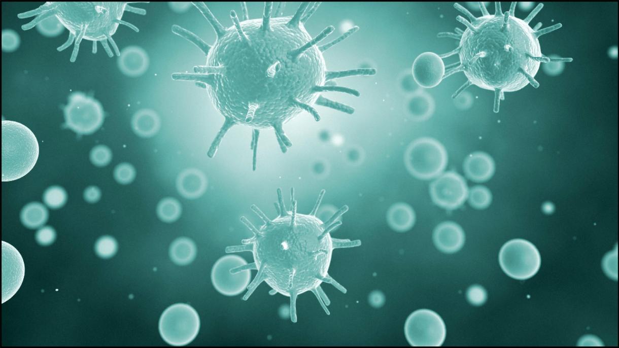 جنوبی کوریا: نئی قسم کے سوائن فلو کی نشاندہی، وائرس کے مریضوں کی تعداد 67 ہو گئی