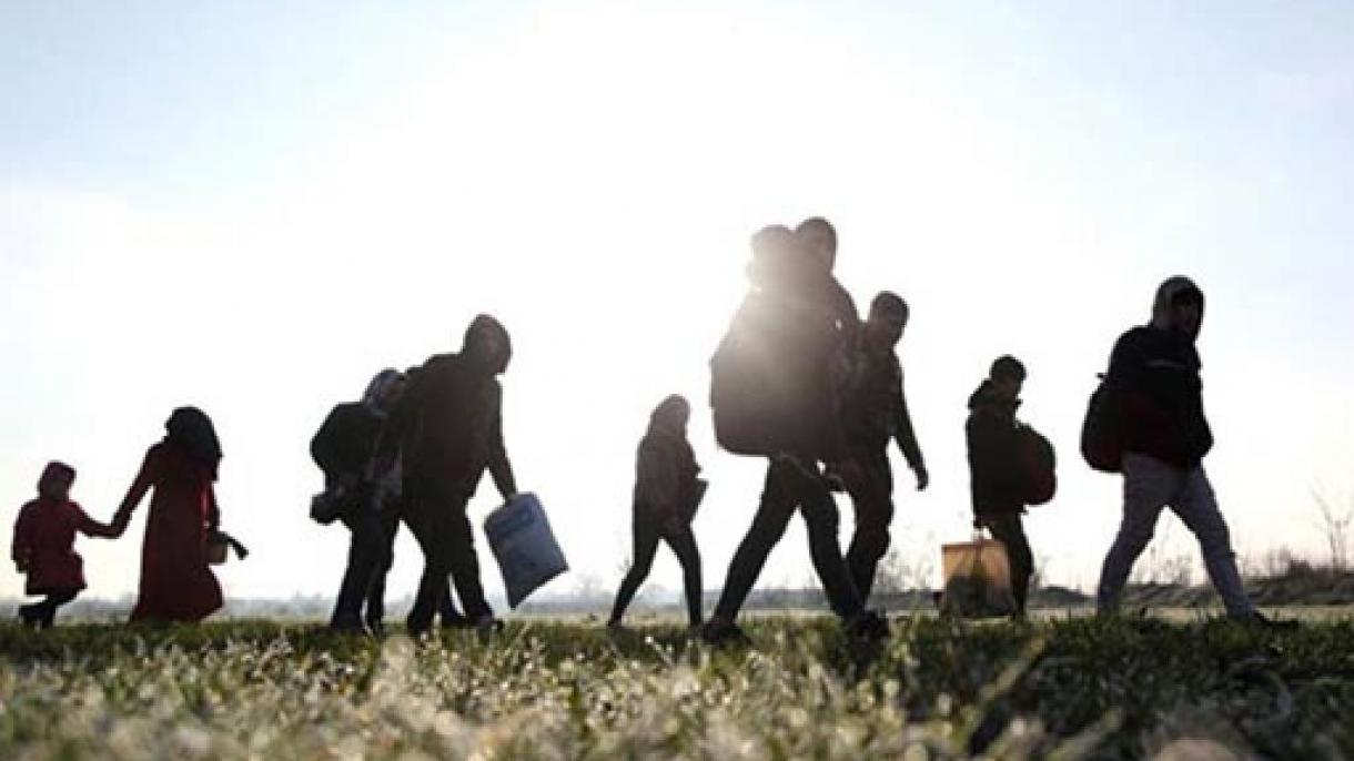 自今年初以来有34112名非正规移民被驱逐出境