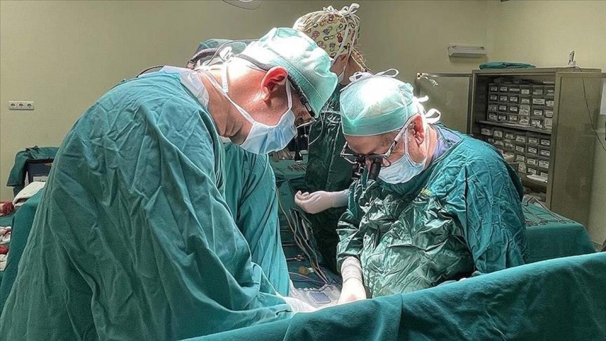 Científicos turcos desarrollan innovador sistema de donación cruzada de hígados