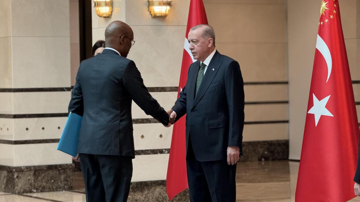 erdogan-somali elcisi fathudin ali muhammed kabul.jpg