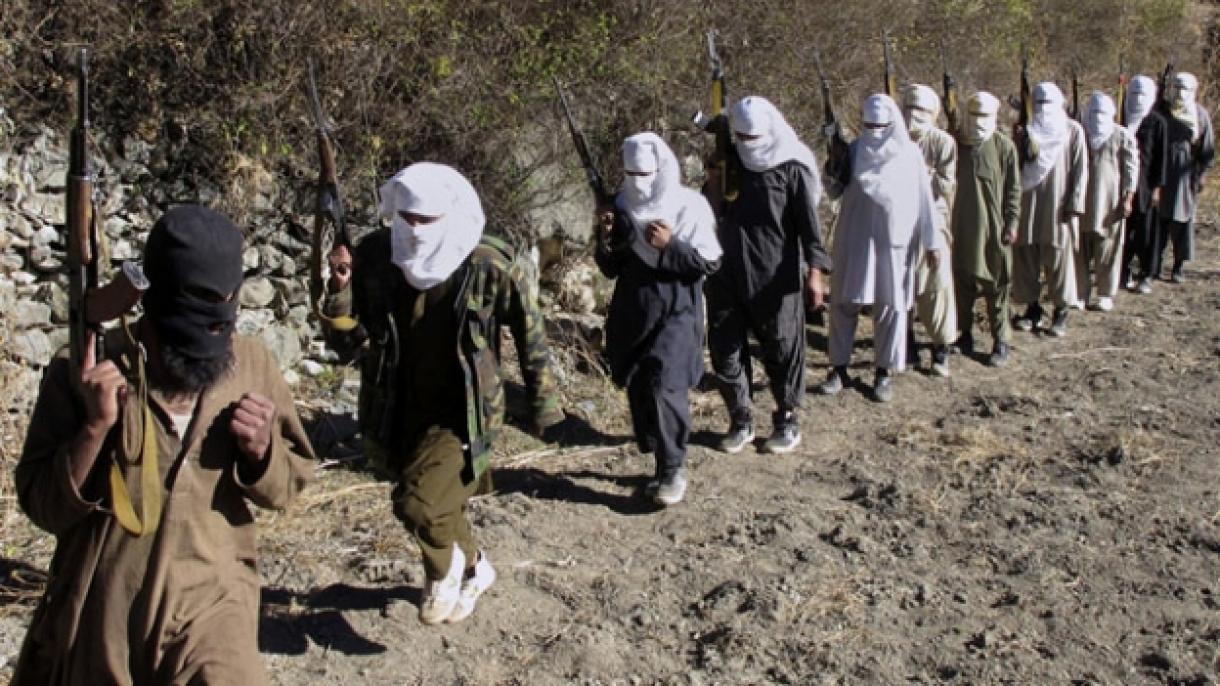 Әfqanıstanda  21 Taliban üzvü mәhv edilib