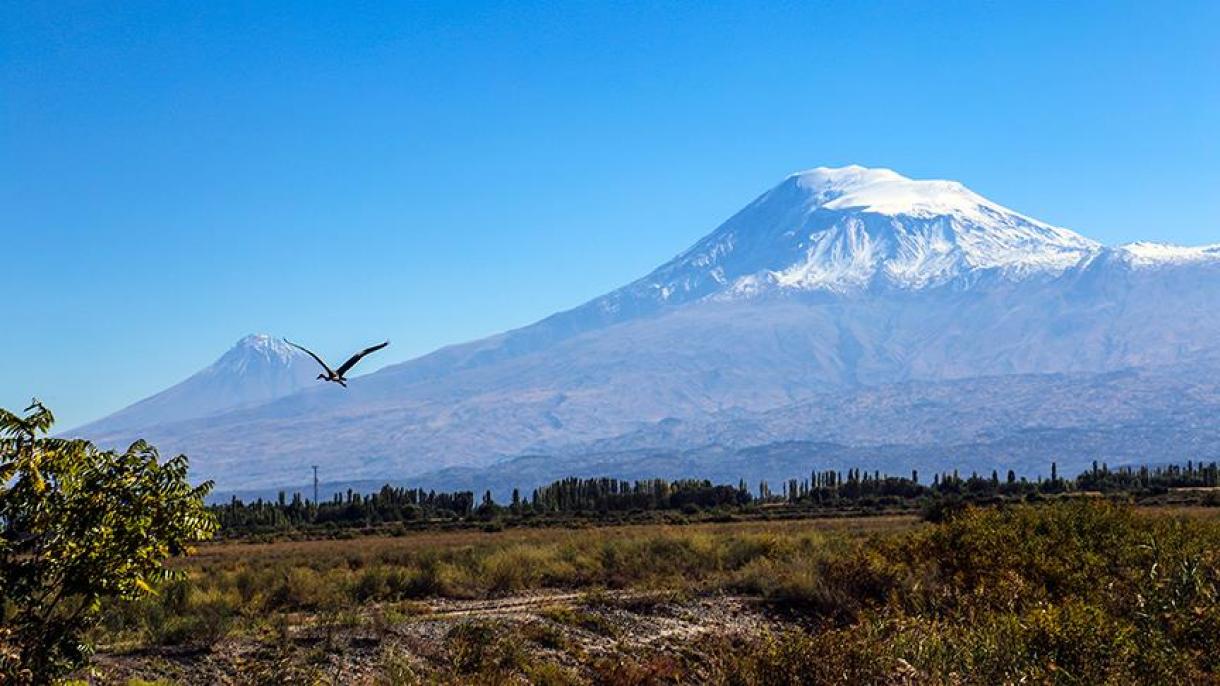 Ağrı tawı (Ararat)