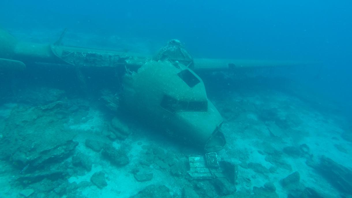 海底飞机残骸 引游客参观兴趣十足