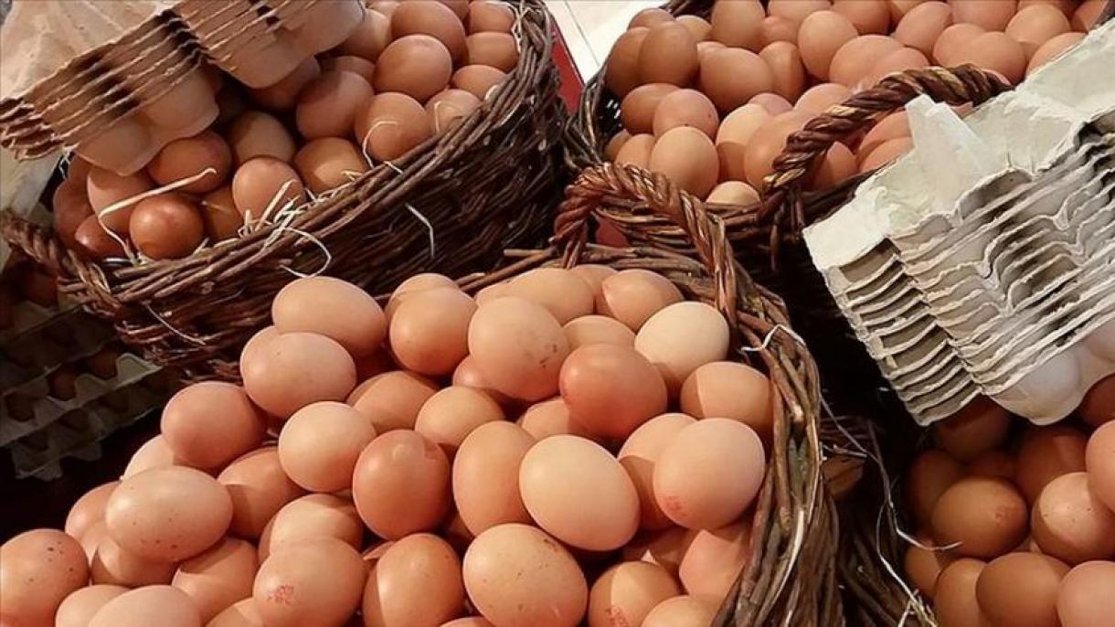 بیلجیئم: انڈوں میں ڈائی آکسین کی مقدار بڑھ گئی،عوام کو استعمال نہ کرنے کی تلقین