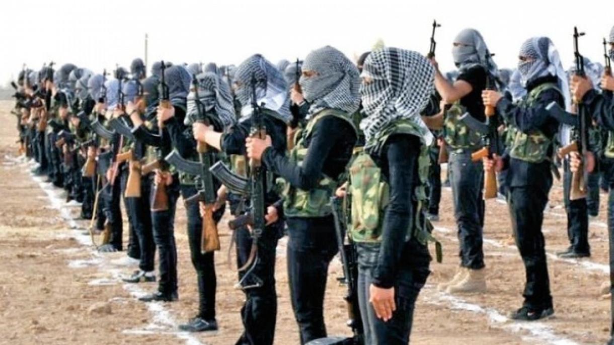 Um perigo no horizonte para o Ocidente: os combatentes terroristas estrangeiros do PYD/YPG