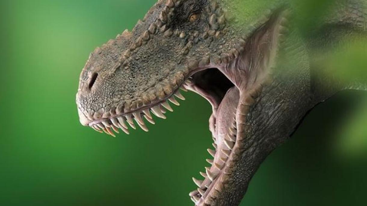اگر تنها 2.5 میلیون دایناسور در گذشته زندگی میکرد، وجود دانیاسورها نامعلوم می‌ماند
