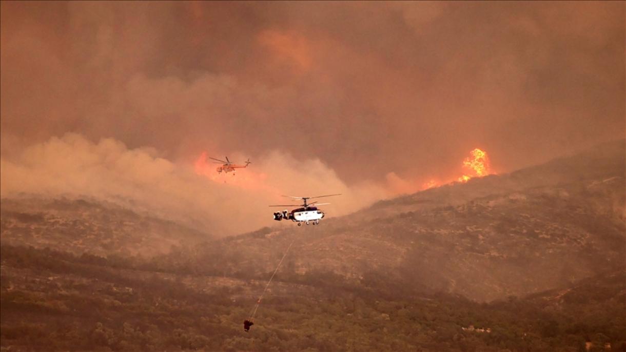 یونان میں جنگلاتی آگ، ایک وسیع جنگلاتی رقبہ راکھ کا ڈھیر بن گیا