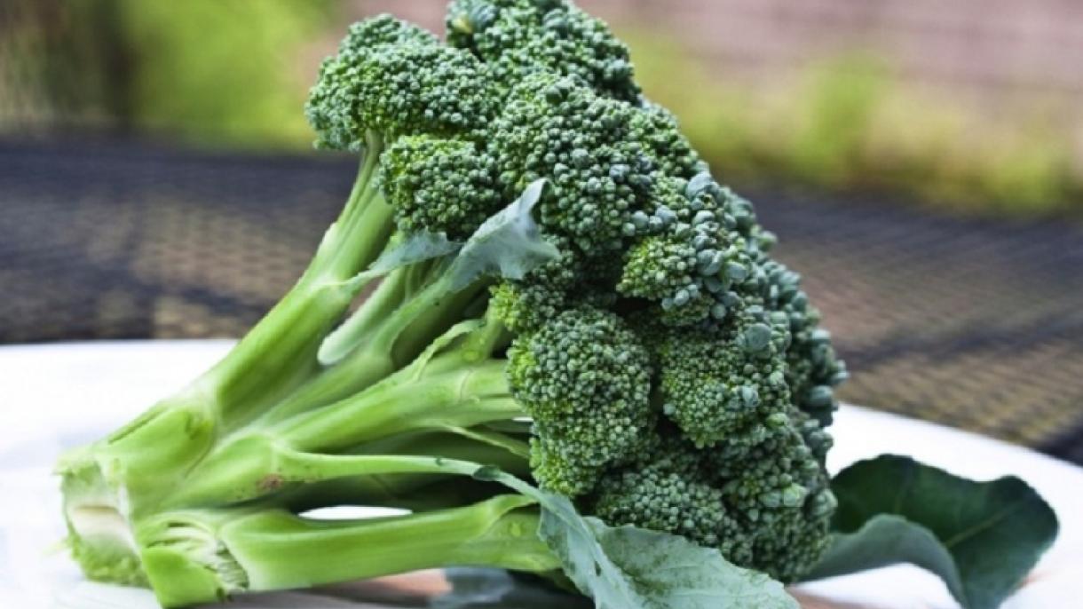 Broccoli aiuta la otta  tumore del colon-retto