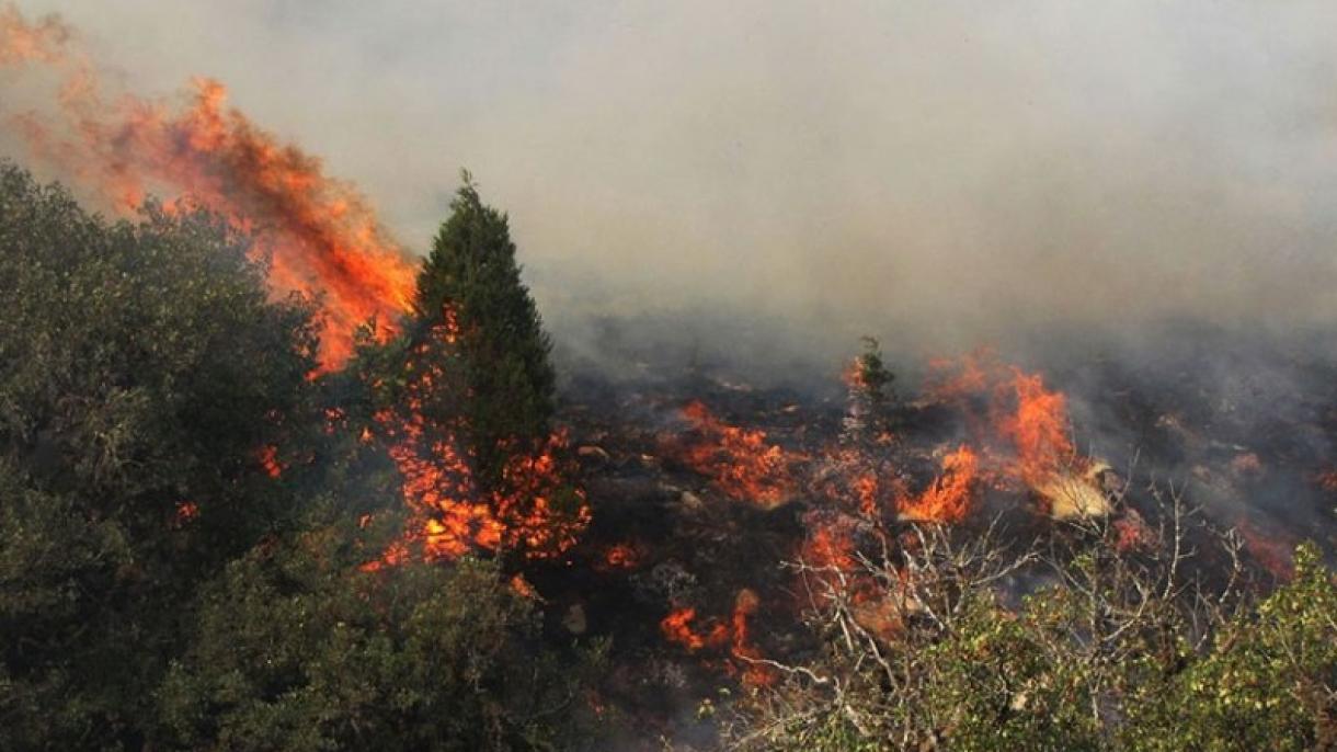 ادامه آتش سوزیهای شدید در جنگلهای قره داغ آذربایجان