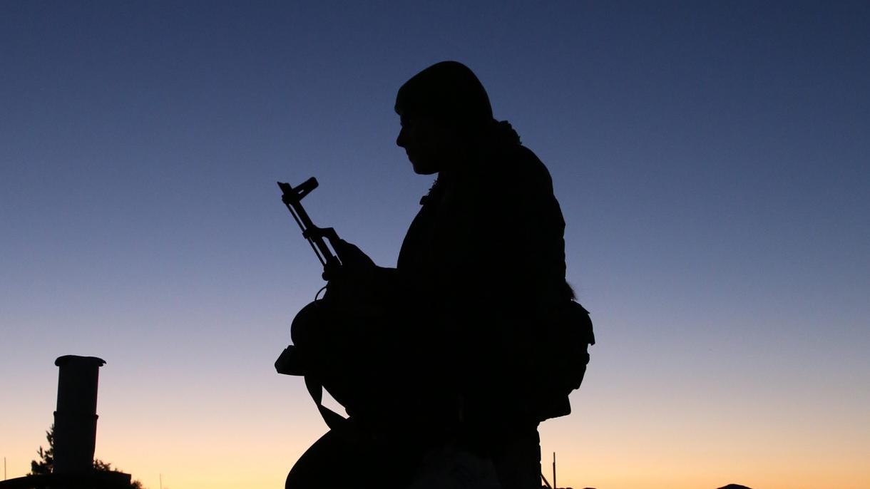 Almaniya DİN: ‘‘Almaniyadan 200-dәn çox adam PYD/YPG-nin sıralarına qoşulub’’