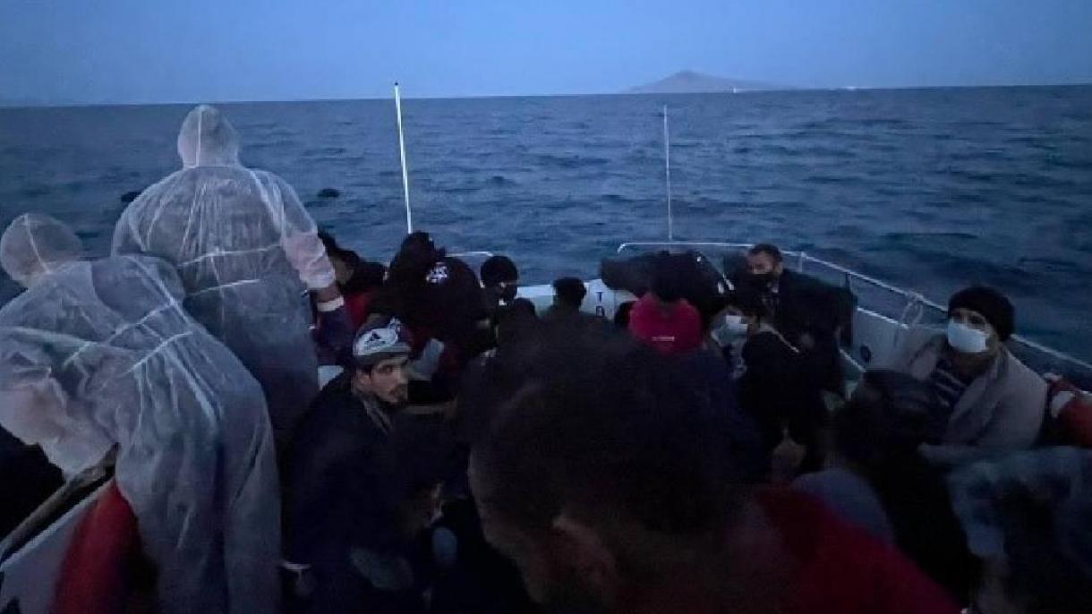 Гръцките власти изоставиха 50 нелегални имигранти на островче в река Марица