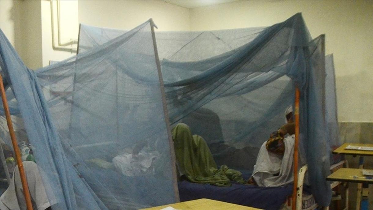افزایش شمار مرگ و میر ناشی از تب دنگی در بنگلادش