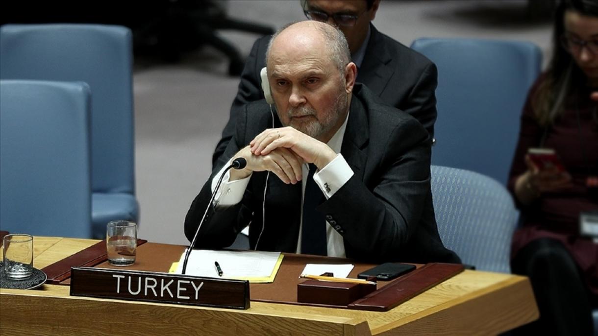 土耳其：安理会对以色列袭击加沙保持沉默是不可接受的