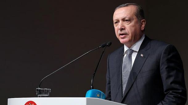 土耳其总统建议在叙利亚北部建一座城市
